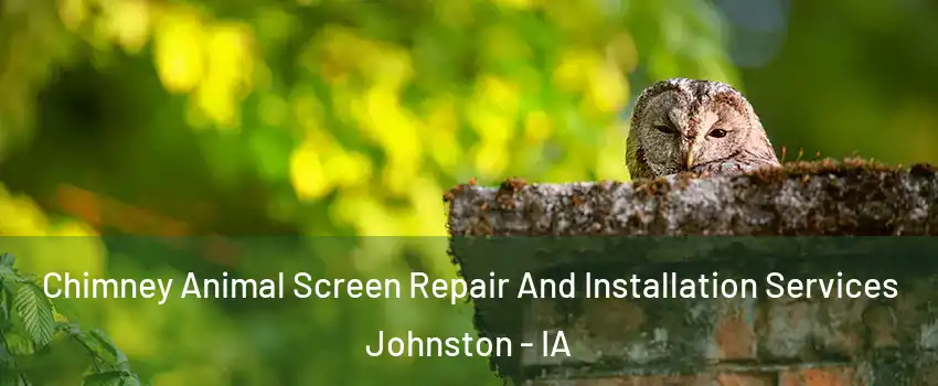  Chimney Animal Screen Repair And Installation Services Johnston - IA
