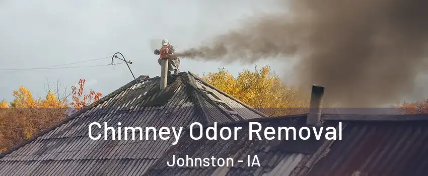  Chimney Odor Removal Johnston - IA