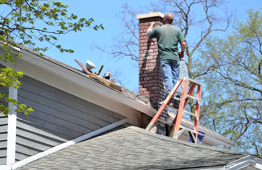 Chimney & Fireplace Inspections Services in Johnston, IA