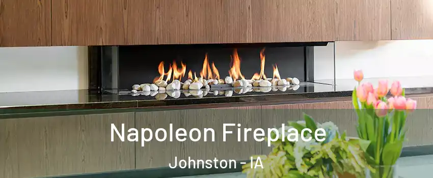  Napoleon Fireplace Johnston - IA
